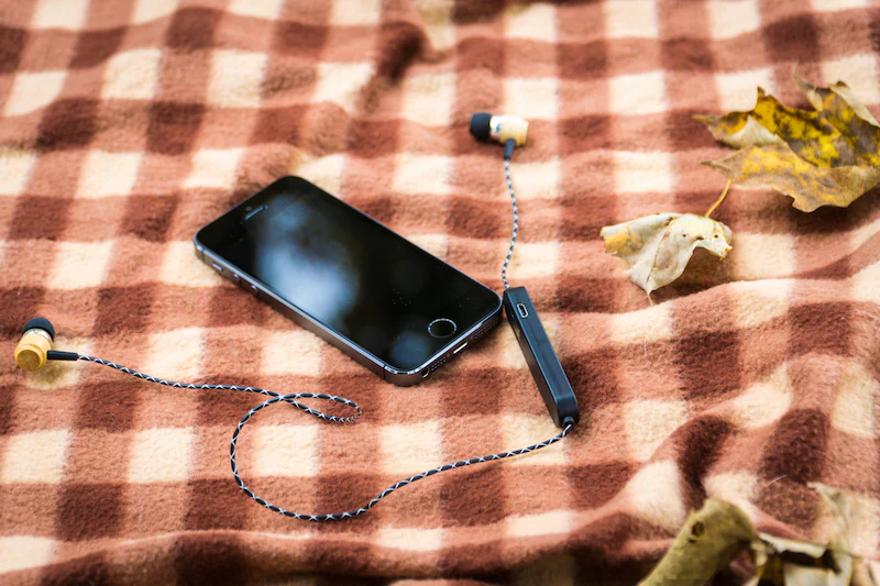 METALLIC WIRED EARBUDS - Image 3
