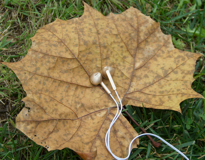 METALLIC WIRED EARBUDS - Image 4